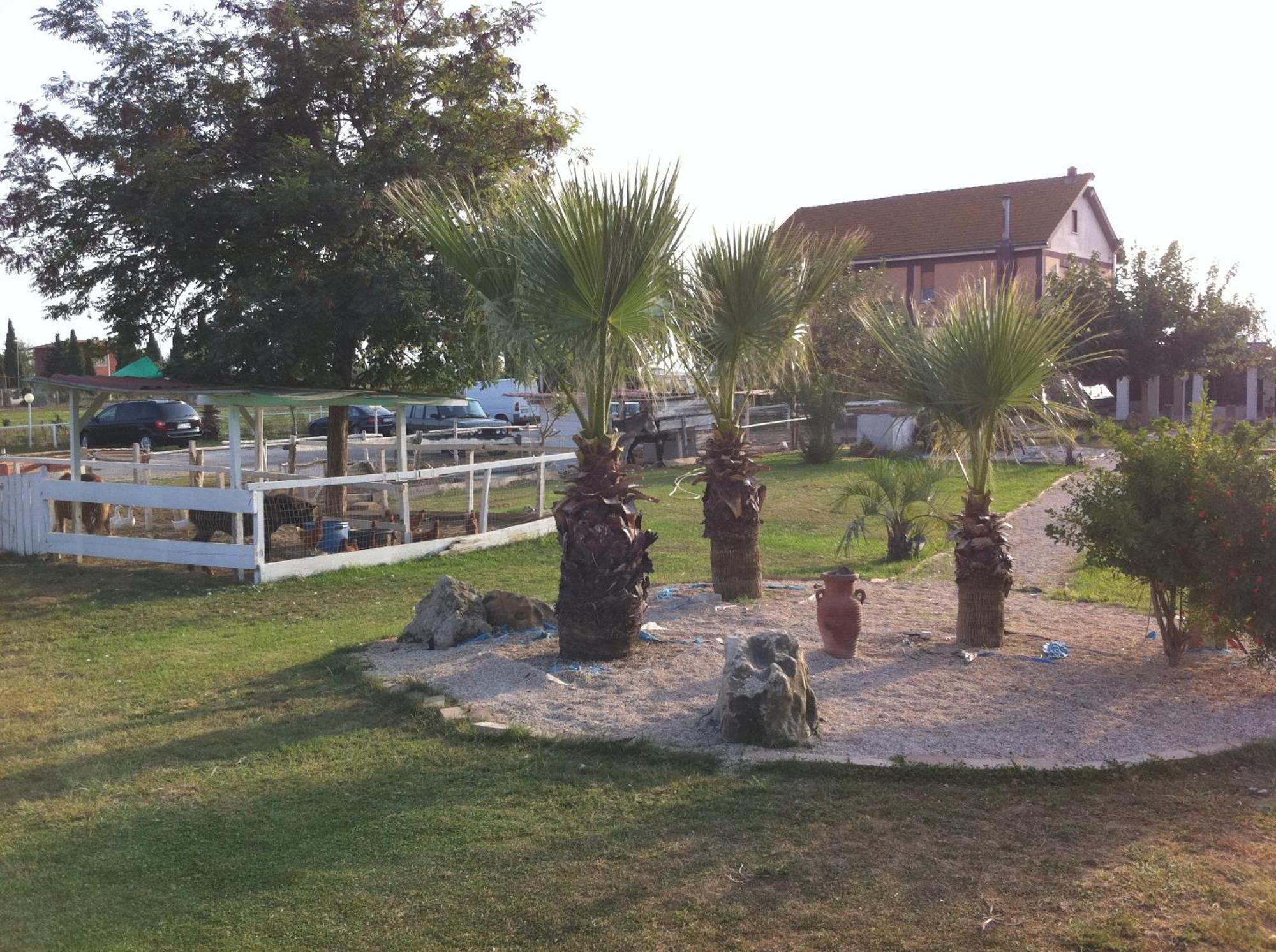 AgriSesto B&B Fregenae Esterno foto